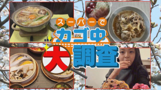 【密着】その食材で何を作りますか?お宅の晩ご飯 撮らせて下さい!【チャント!特集】